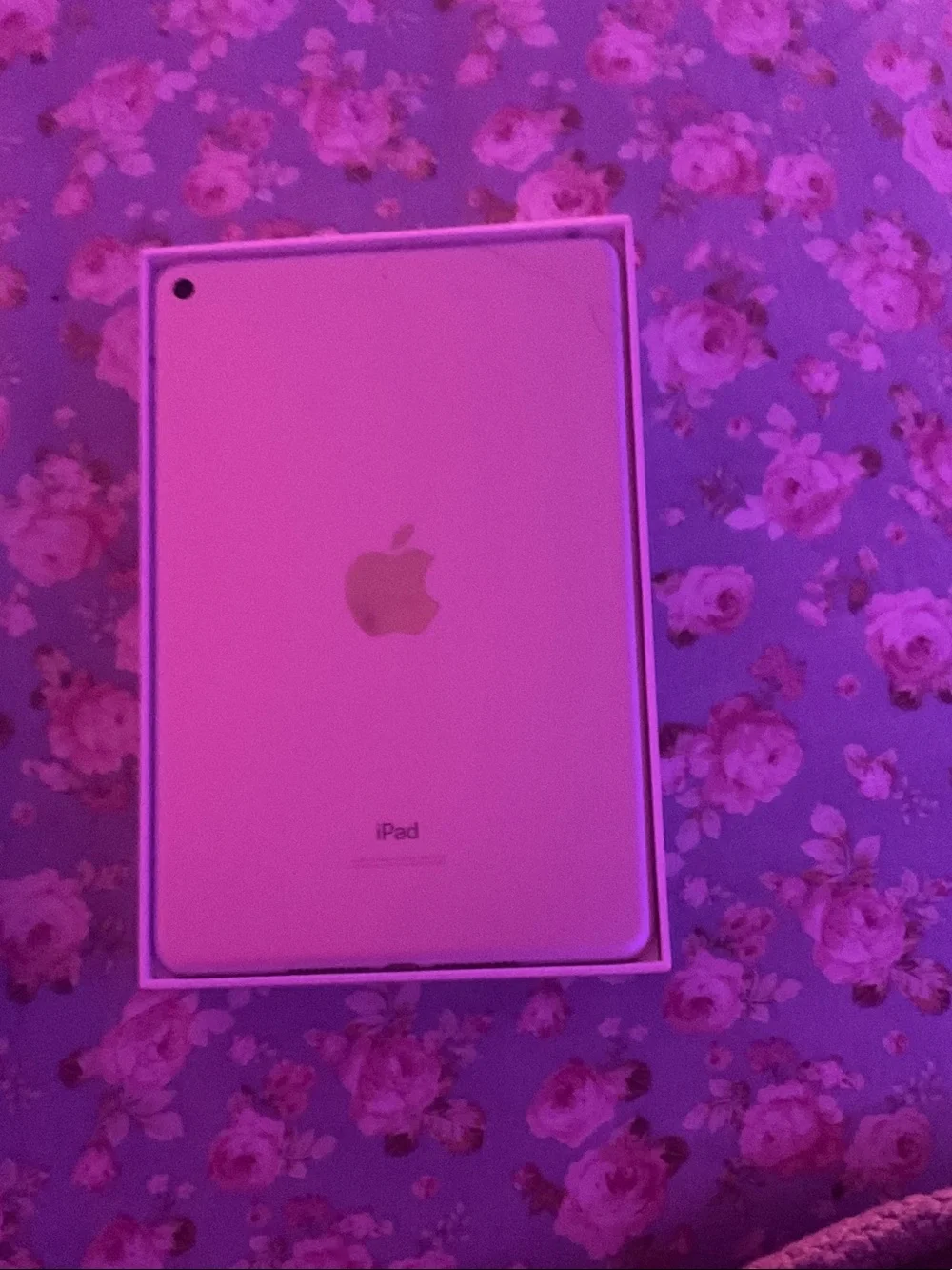 Mini apple ipad